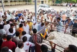 85 वाहनों से कपास की हुई आवक,विधायक श्याम बर्डे ने किसानो, व्यापारियों एवं मंडी स्टाफ के साथ मुहूर्त में किया खरीदी का श्रीगणेश