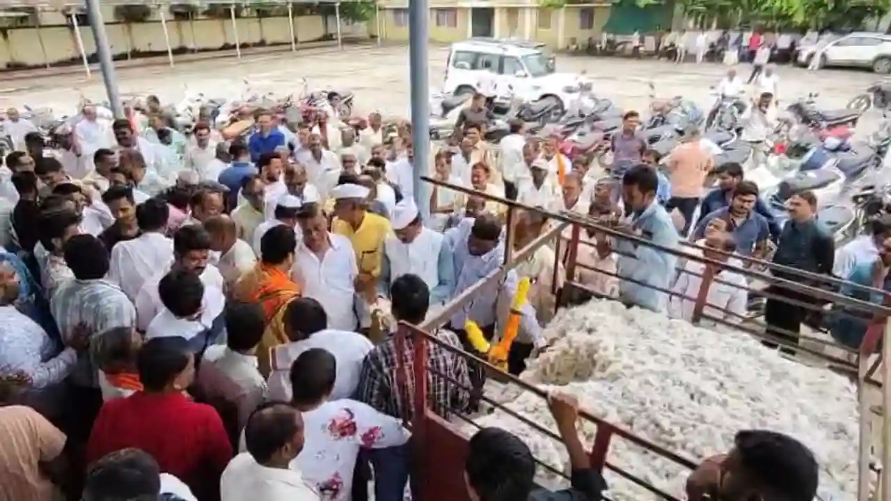 85 वाहनों से कपास की हुई आवक,विधायक श्याम बर्डे ने किसानो, व्यापारियों एवं मंडी स्टाफ के साथ मुहूर्त में किया खरीदी का श्रीगणेश