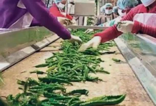 ठीकरी के घटवा में खुलेगा नया ‘फूड पार्क क्लस्टर’कृषि और उद्योग क्षेत्र को मिलेगी नई उड़ान।