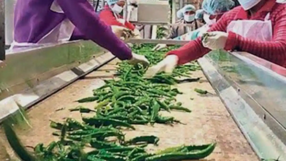 ठीकरी के घटवा में खुलेगा नया ‘फूड पार्क क्लस्टर’कृषि और उद्योग क्षेत्र को मिलेगी नई उड़ान।