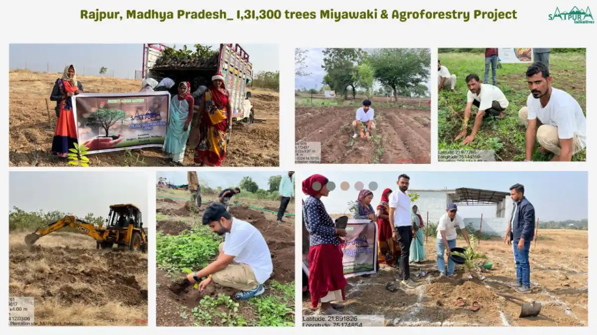 10 महीनों में 10 राज्यों में लगाए 6 लाख से अधिक पेड़,दे रहे है कई लोगो को रोज़गार