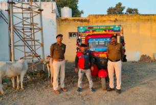 अवैध गोवंश परिवहन पर पुलिस की कार्रवाई 3 गौवंश व टेम्पो जप्त,एक आरोपी गिरफ्तार